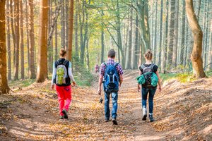 3 Menschen spazieren im Wald (c) prowi GT 