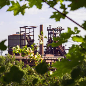 Nachhaltig Wirtschaften